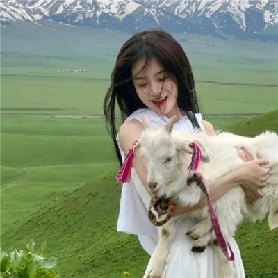 工作细胞 国语版