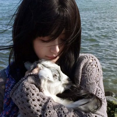 两只小猫的故事